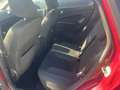 Ford Fiesta 5p 1.5 tdci Business 75cv - thumbnail 8