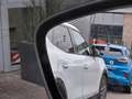 Ford Kuga 2.5 PHEV ST-Line X | Adaptive CC & Lane Assist | A - thumbnail 12
