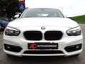 BMW 116 d PREZZO VALIDO FINO 31.12,GARANZIA,km certificat Bianco - thumbnail 3