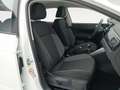 Volkswagen Polo 1.0 TSI 70kW Blanc - thumbnail 8