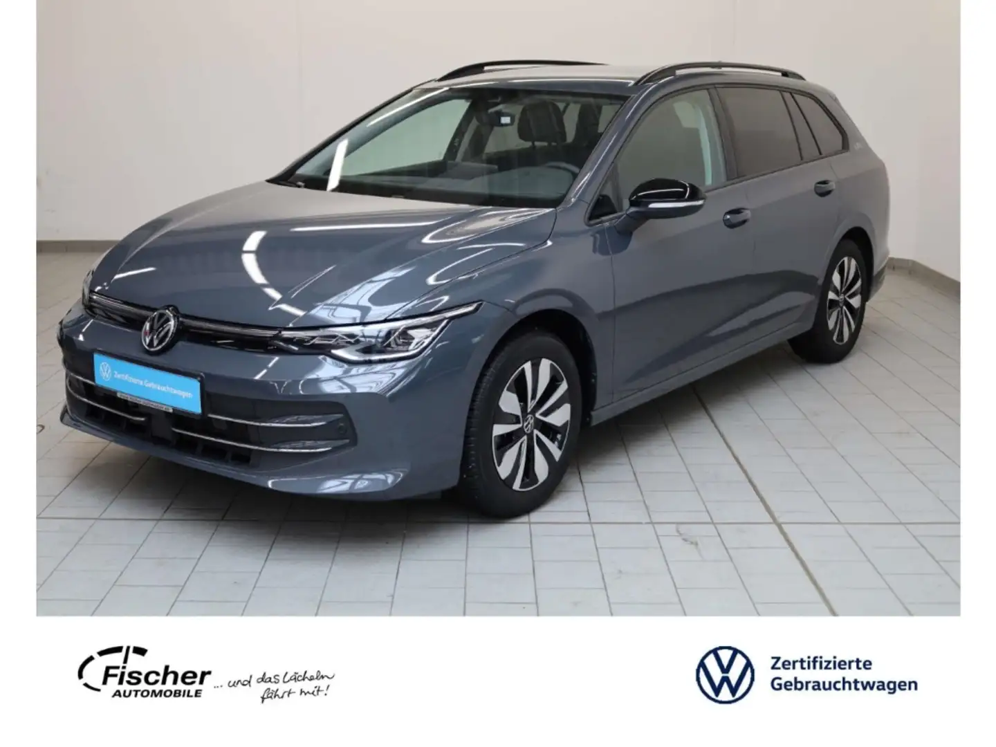 Volkswagen Golf Variant 1.5 TSI Goal Gris - 1
