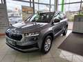 Skoda Karoq 1.5 TSI DSG Selection  LED SHZ Kessy Kame Grijs - thumbnail 1