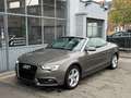 Audi A5 Cabriolet 1.8 TFSI ✅ Gps Cuir Bt✅ 37.000kms✅ Grijs - thumbnail 5