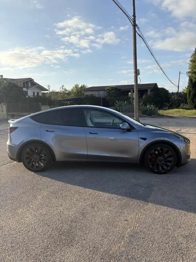 Tesla Model Y Performance Dual Motor awd Argintiu - 2