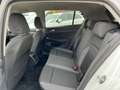 Volkswagen Golf Life ACTIVE 1.5 TSI | NP: €39.000 Weiß - thumbnail 14