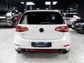 Volkswagen Golf GTI 2.0 tsi Performance 245cv dsg TETTO VIRTUAL - thumbnail 5