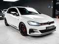 Volkswagen Golf GTI 2.0 tsi Performance 245cv dsg TETTO VIRTUAL - thumbnail 3