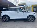 Land Rover Range Rover Evoque N1 AUTOCARRO 2.0 150cv IVA ESCLUSA Alb - thumbnail 3