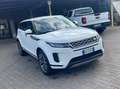 Land Rover Range Rover Evoque N1 AUTOCARRO 2.0 150cv IVA ESCLUSA Alb - thumbnail 2