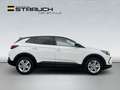 Opel Grandland X Grandland Enjoy AT 8-fach/bhWSS/AHZV/LHz/SHz/LED Weiß - thumbnail 8