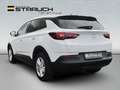 Opel Grandland X Grandland Enjoy AT 8-fach/bhWSS/AHZV/LHz/SHz/LED Weiß - thumbnail 5