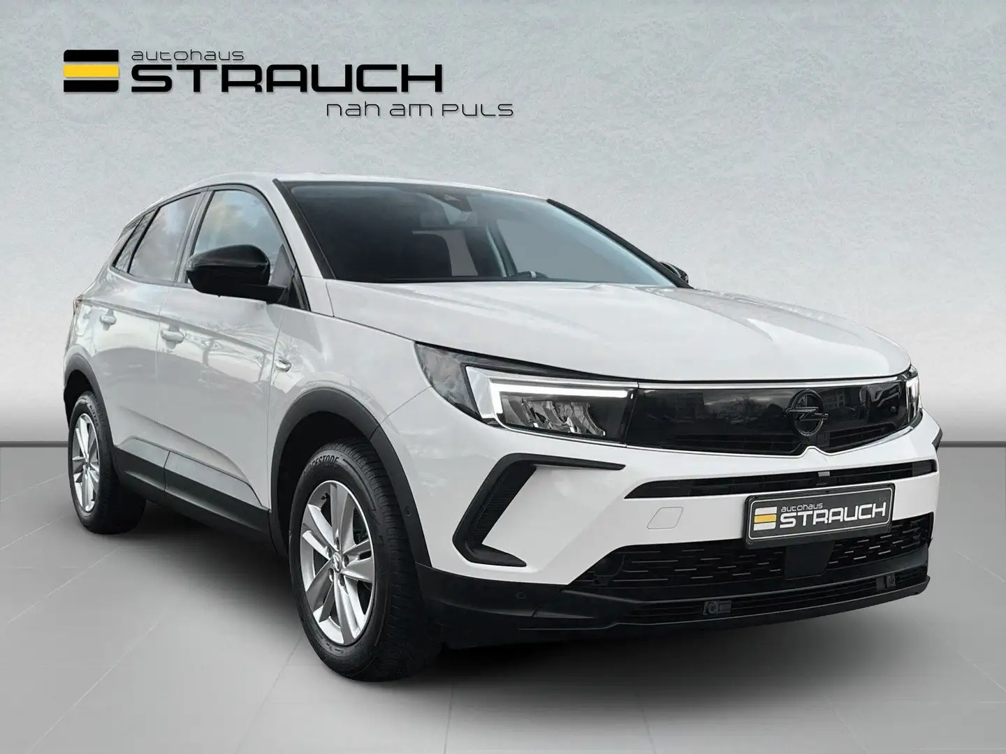Opel Grandland X Grandland Enjoy AT 8-fach/bhWSS/AHZV/LHz/SHz/LED Weiß - 1