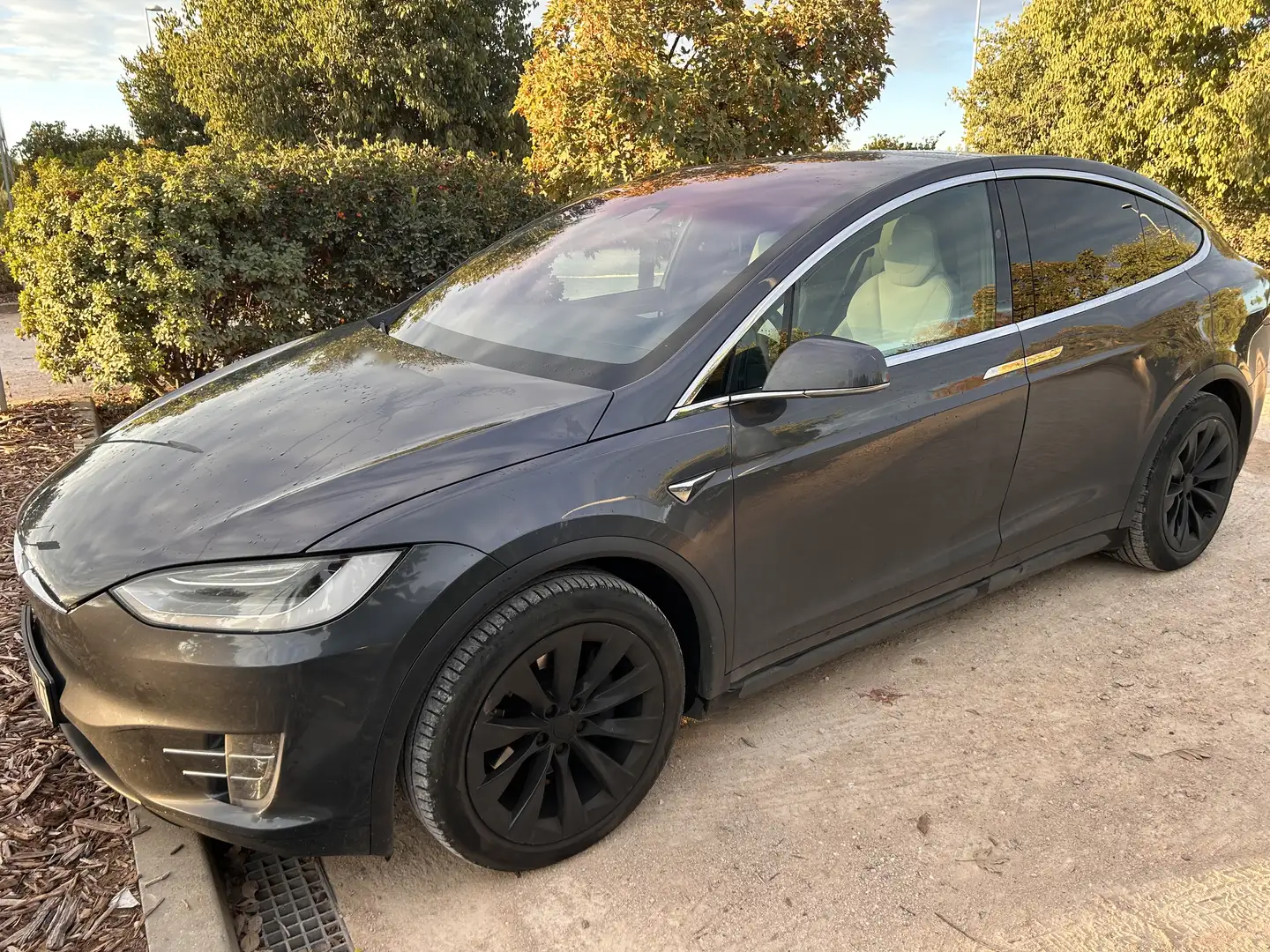 Tesla Model X 75D - 2