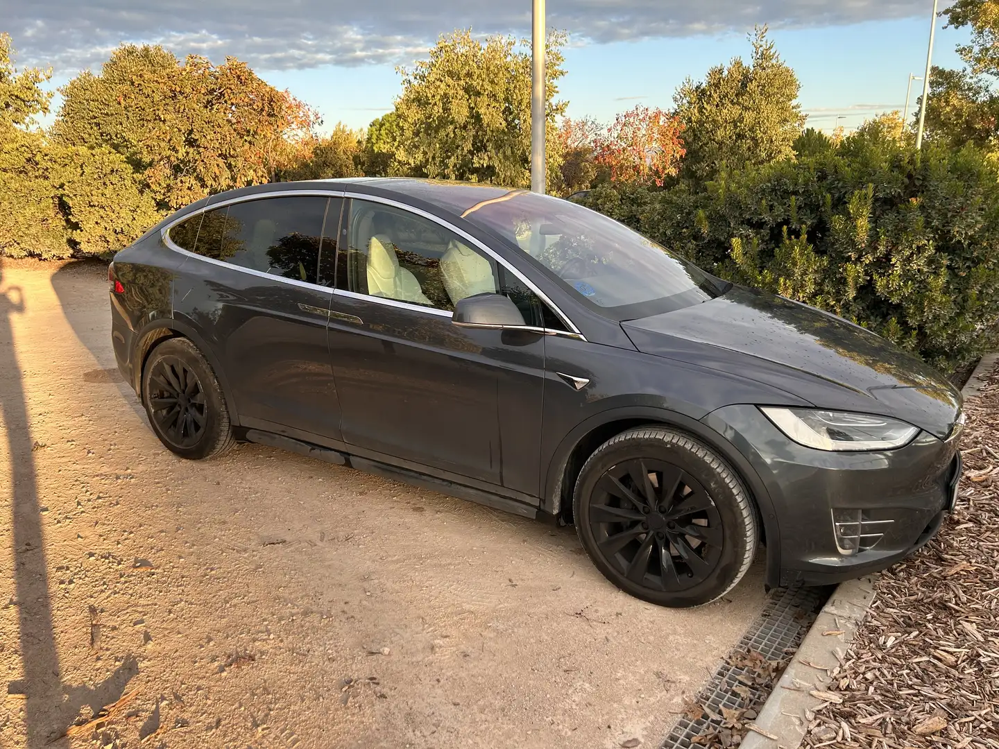 Tesla Model X 75D - 1