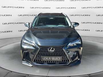 Hybrid Luxury 4WD MY22