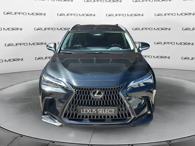 Lexus NX 350h Hybrid Luxury 4WD MY22