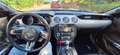 Ford Mustang Cabrio 5.0 Ti-VCT V8 Aut. GT - thumbnail 10
