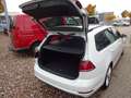 Volkswagen Golf VII Variant GTD LED/ACC/AHK Weiß - thumbnail 14