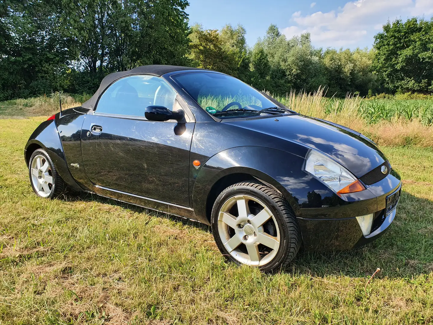 Ford Streetka Elegance Roadster,Klima,Servo,Alu,Cabrio Schwarz - 2