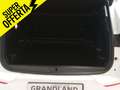 Opel Grandland X Grandland 1.2 Business Elegance s&s 130cv Bianco - thumbnail 11