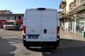Opel Movano 35 2.2 BlueHDi L2H2 PORTATA UTILE 1400KG Bianco - thumbnail 5