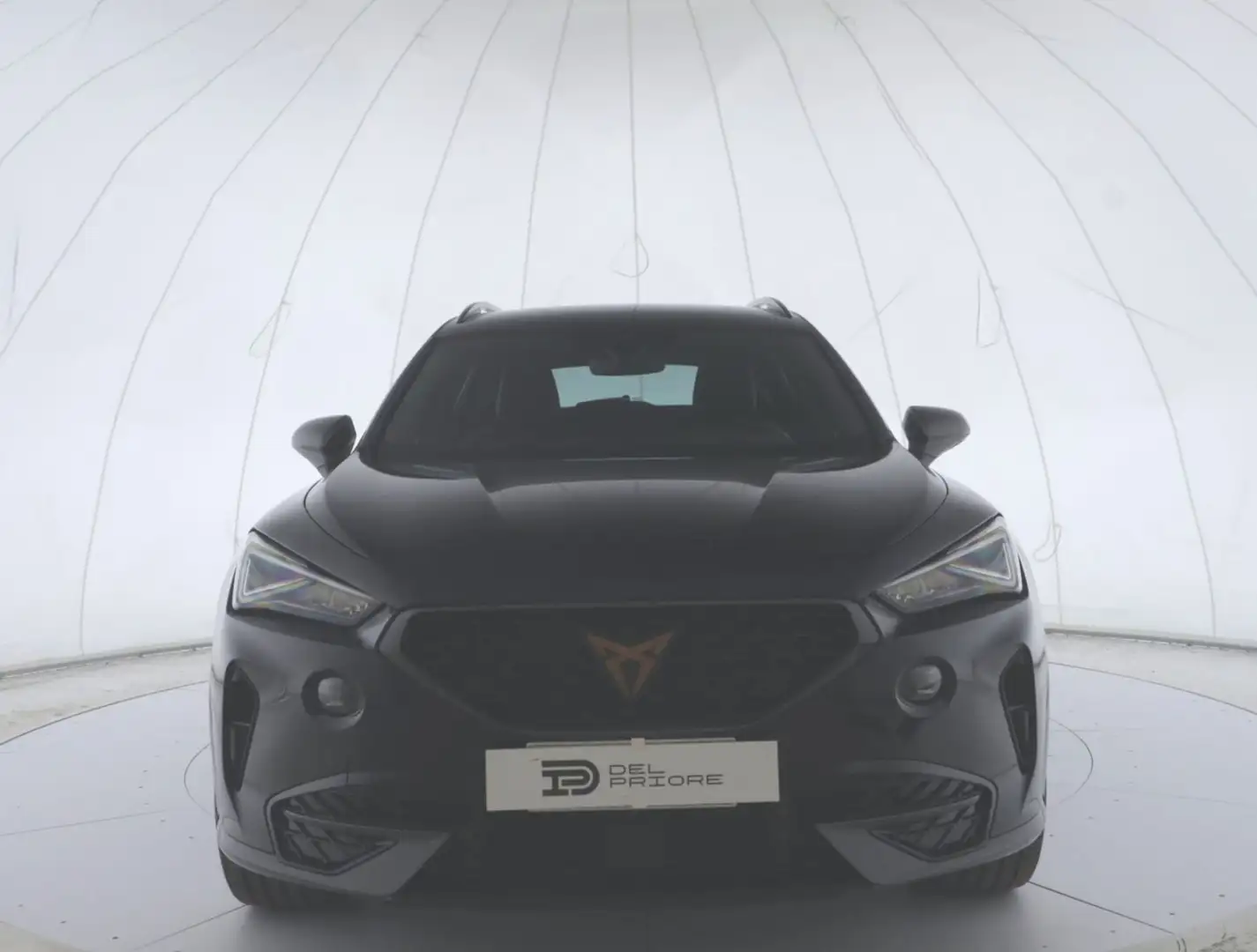 CUPRA Formentor Formentor 2.0 TDI 4Drive DSG Blu/Azzurro - 2