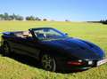 Pontiac Firebird Firebird Convertible 3,8 Aut. Noir - thumbnail 9