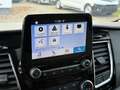 Ford Tourneo Custom 320 L2 Tourneo Titanium AHK-ACC-RKAMERA-8SITZER Beige - thumbnail 20