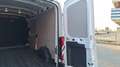 Ford Transit 350 L3 H2 MHEV 2.0 TDCI 130CV TREND Bianco - thumbnail 12