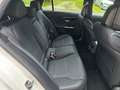 Mercedes-Benz C 220 d 4Matic-Leder-Night Pak-Spur Ass.+ 1J.Garantie Blanc - thumbnail 18