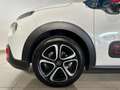 Citroen C3 PureTech 82 S&S Shine Bianco - thumbnail 15