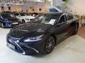 Lexus ES 300 300h Business Line Aut. HYBRID *SCHIEBEDACH *218P Schwarz - thumbnail 4