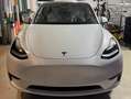 Tesla Model Y Model Y Long Range RWD weiß/weiß 600km WLTP *MWST ausweisbar* Weiß - thumbnail 1