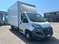 Fiat Ducato 35 2.3 MJT 140CV PLM-SLCABINATO MAXI Bianco - thumbnail 3