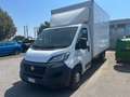 Fiat Ducato 35 2.3 MJT 140CV PLM-SLCABINATO MAXI Bianco - thumbnail 1