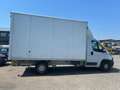 Fiat Ducato 35 2.3 MJT 140CV PLM-SLCABINATO MAXI Bianco - thumbnail 4