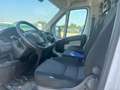Fiat Ducato 35 2.3 MJT 140CV PLM-SLCABINATO MAXI Bianco - thumbnail 7