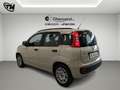 Fiat Panda 1.2 Easy 69cv Beige - thumbnail 4