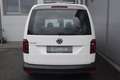 Volkswagen Caddy Caddy Maxi Kasten 2,0 TDI DSG XENON/NAVI/A... Blanc - thumbnail 5