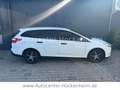 Ford Focus Turnier Ambiente Bianco - thumbnail 4