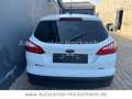 Ford Focus Turnier Ambiente Bianco - thumbnail 3