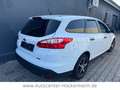 Ford Focus Turnier Ambiente Bianco - thumbnail 5