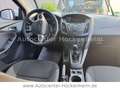 Ford Focus Turnier Ambiente Bianco - thumbnail 9