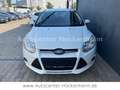 Ford Focus Turnier Ambiente Bianco - thumbnail 2