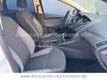 Ford Focus Turnier Ambiente Bianco - thumbnail 10