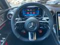 Mercedes-Benz SL 63 AMG AMG SL 63 4M+ NP.: 297.104 Prem+ AMG Aerod. Pack. Grau - thumbnail 11