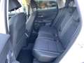 Honda ZR-V e HEV 2.0 Sport Navi LED ACC El. Heckklappe Apple Blanc - thumbnail 10