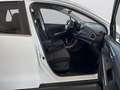 Suzuki SX4 S-Cross 1.4 COMFORT HYBRID Alb - thumbnail 10
