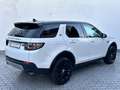 Land Rover Discovery Sport D150 TD4/Kamera/Leder/Navi Weiß - thumbnail 6