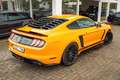 Ford Mustang 5.0 PREMIUM GT/SHELBY FC.LIFT VOLLLL!!! Oranžová - thumbnail 7